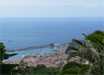 der Hafen von Funchal